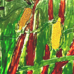 screen_shot_2015-08-12_at_9.23.29_am.png