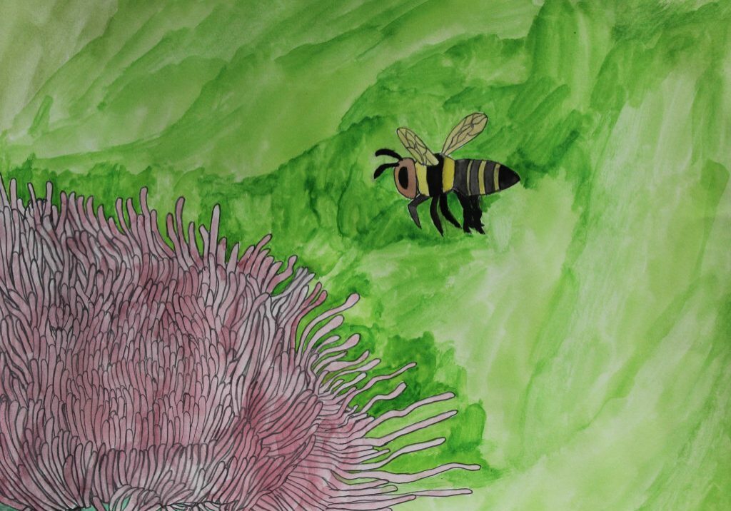 bee bee
